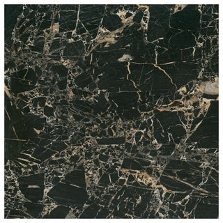 Porcelænsflise til inde/ude, Tiger Black, 60 × 60 cm, blank, rektificeret