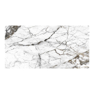 Porcelænsflise til inde/ude, Pole, 60 × 120 cm, blank, rektificeret, marmorlook