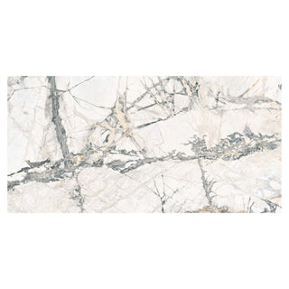 Porcelænsflise til inde/ude, 6406 Arabesque White, 60 × 120 cm, blank, kalibreret, marmorlook