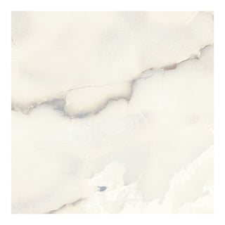 Porcelænsflise til inde/ude, Neo Onyx White, 60 × 60 cm, blank, retificeret, marmorlook