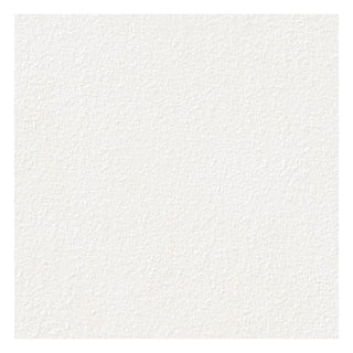 Porcelænsflise til inde/ude, 2 cm, Rako 6461-0306 Betonico, 60 × 60 cm, hvid, mat, slebet, stenlook