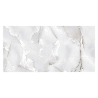 Porcelænsflise til inde/ude, Aden Light Grey, 60 × 120 cm, blank, rektificeret, marmorlook