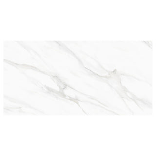 Porcelænsflise til inde/ude, Alpine Grey, 60 × 120 cm, mat, rektificeret, marmorlook