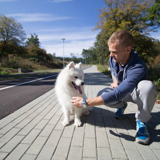 Betonflise D2/Slotssten – Elis, grå cement 200x100x60 mm | Sælges pr. m² (1 stk = 0,02 m²)