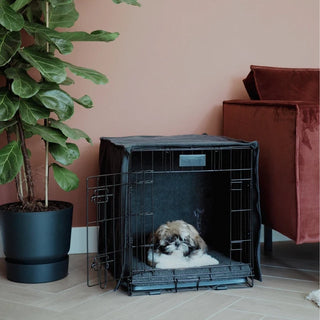Transportbur til Hund Str. M – 77x54x60 cm – Sammenklappeligt Metalbur