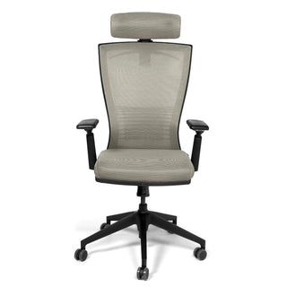 Ergonomisk kontorstol Bergamo, med lændestøtte og nakkestøtte, drejbar, mesh
