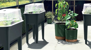 Botanic såbed, Transportabelt, Foldbart drivhus til frøplanter, Grøntsager, Beskytter mod insekter