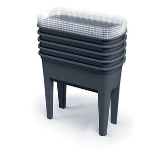 Botanic såbed, Transportabelt, Foldbart drivhus til frøplanter, Grøntsager, Beskytter mod insekter