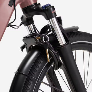 El Ladcykel Longtail E-Three 500 – 711Wh – 170 kg Last – Pink Taupe