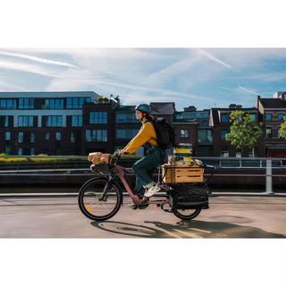 El Ladcykel Longtail E-Three 500 – 711Wh – 170 kg Last – Pink Taupe