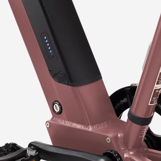 El Ladcykel Longtail E-Three 500 – 711Wh – 170 kg Last – Pink Taupe