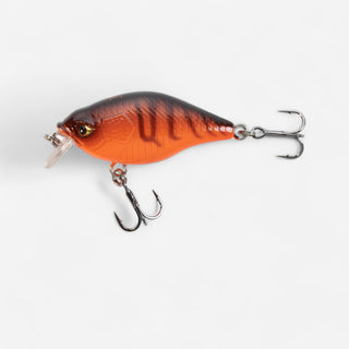 Agn CRANKBAIT til lystfiskeri CRK 40 F AYU