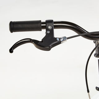 Alsidig cykel Riverside 100 20" børn 120-135 cm