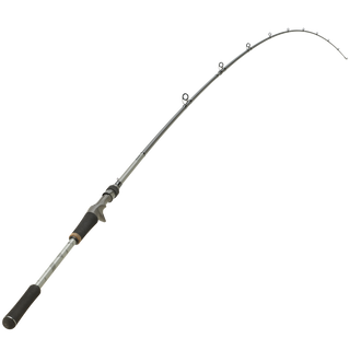 Spinnestang WXM 500 Casting 2,20m H 30-60g