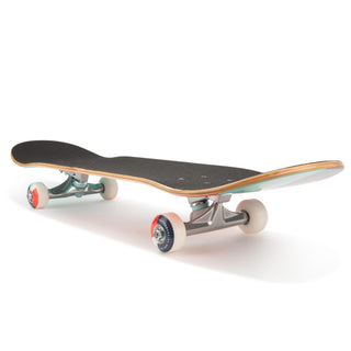 Skateboard CP100 MID PREDATOR 7,6" børn 8-12 år