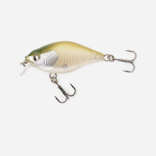 Agn CRANKBAIT til lystfiskeri CRK 40 F AYU