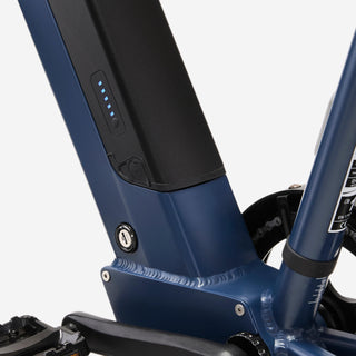 Elcykel longtail E-three 500 Sorbetgrøn
