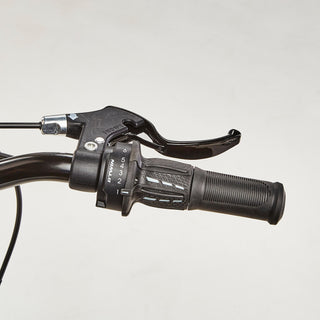 Alsidig cykel Riverside 100 24" børn 135-150 cm