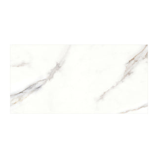 Cesarom Splendor 6060-0338 – Porcelænsflise 30 × 60 cm, hvid/grå og mat