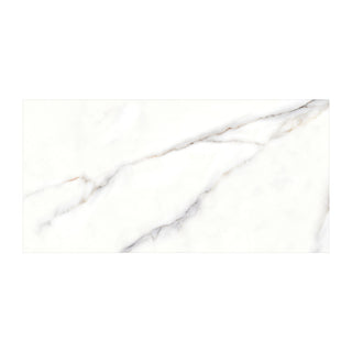 Cesarom Splendor 6060-0338 – Porcelænsflise 30 × 60 cm, hvid/grå og mat