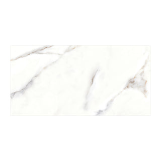Cesarom Splendor 6060-0338 – Porcelænsflise 30 × 60 cm, hvid/grå og mat
