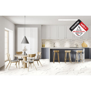 Cesarom Splendor 6060-0338 – Porcelænsflise 30 × 60 cm, hvid/grå og mat